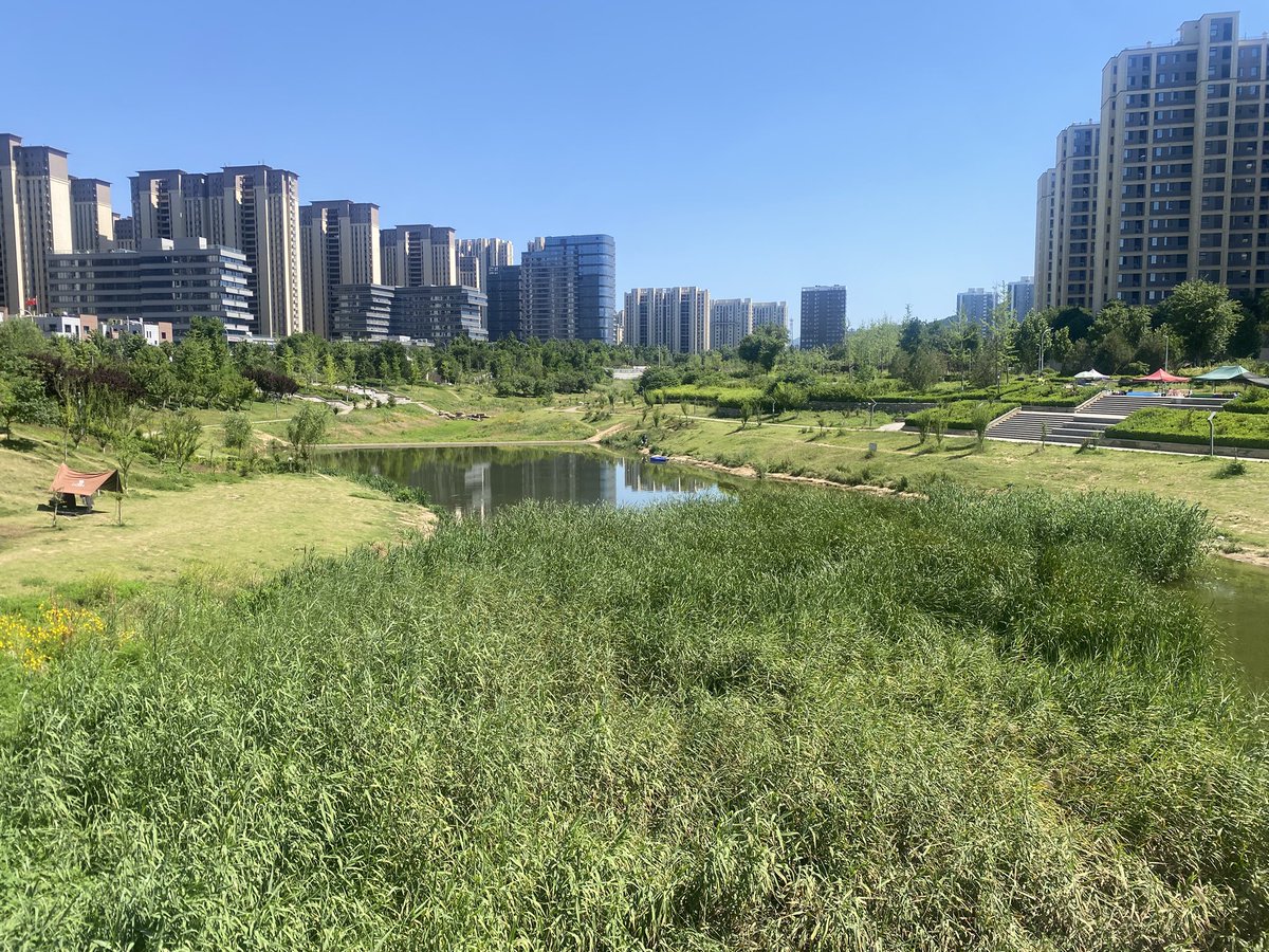 aitongtong131's tweet photo. 幽静深处，骚人依旧 https://t.co/2I2yZyvKNQ