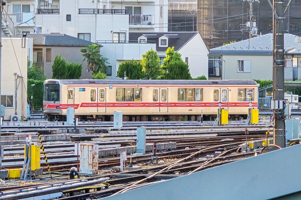 ikkun_train's tweet photo. 昨日、お散歩してたらどうしてここに01系?と思ったら、このイベントの為だったのね。

奥には02系の先頭車も。どちらも今でも走ってそうなのにねぇ… 自分がどんどん年老いていく。 https://t.co/1ldJKZRWEz