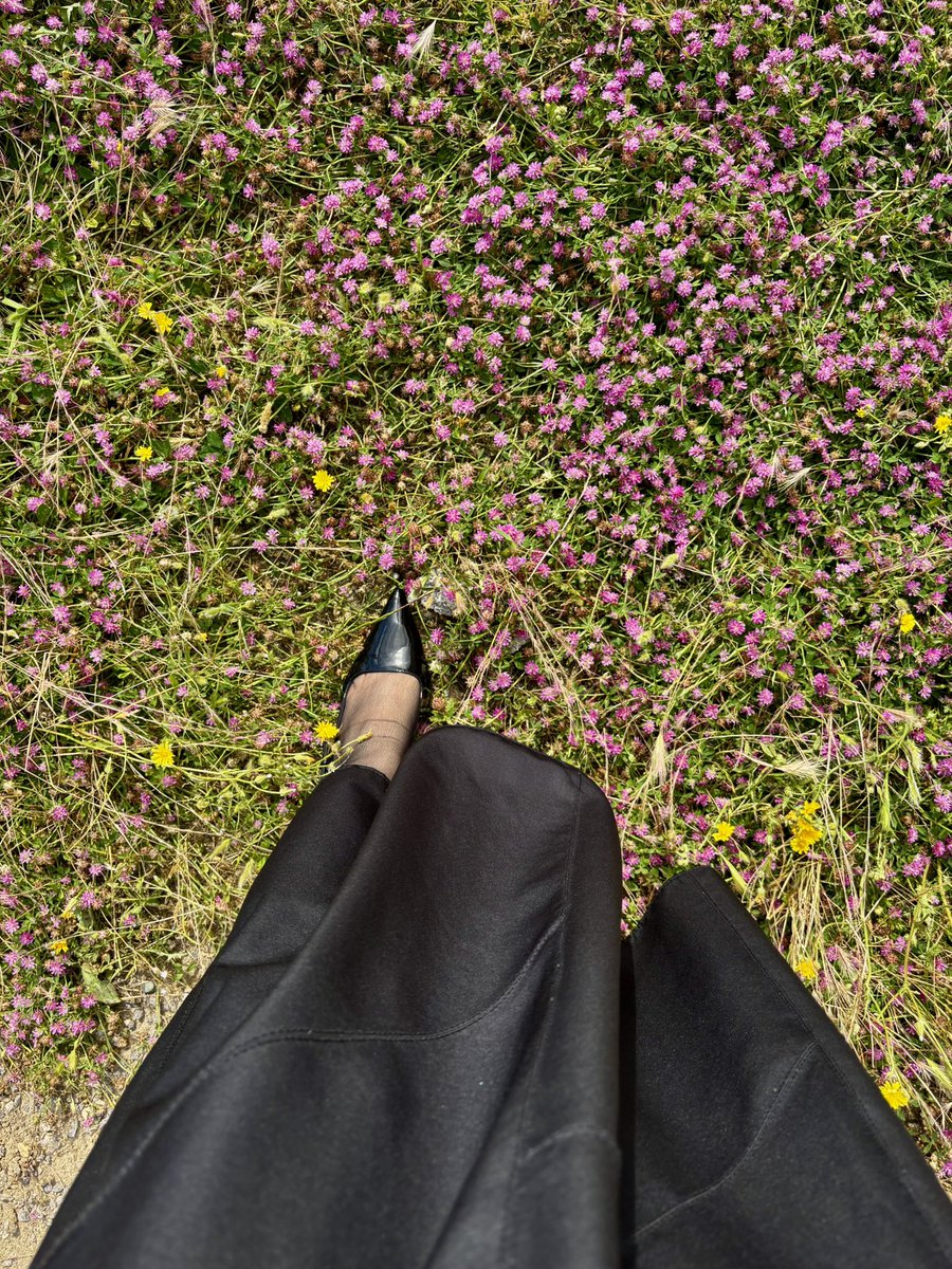 TMKablan's tweet photo. Allah yolumuzu her daim çiçeklendirsin inşallah 🌸💖 https://t.co/sTdOcsqYjL