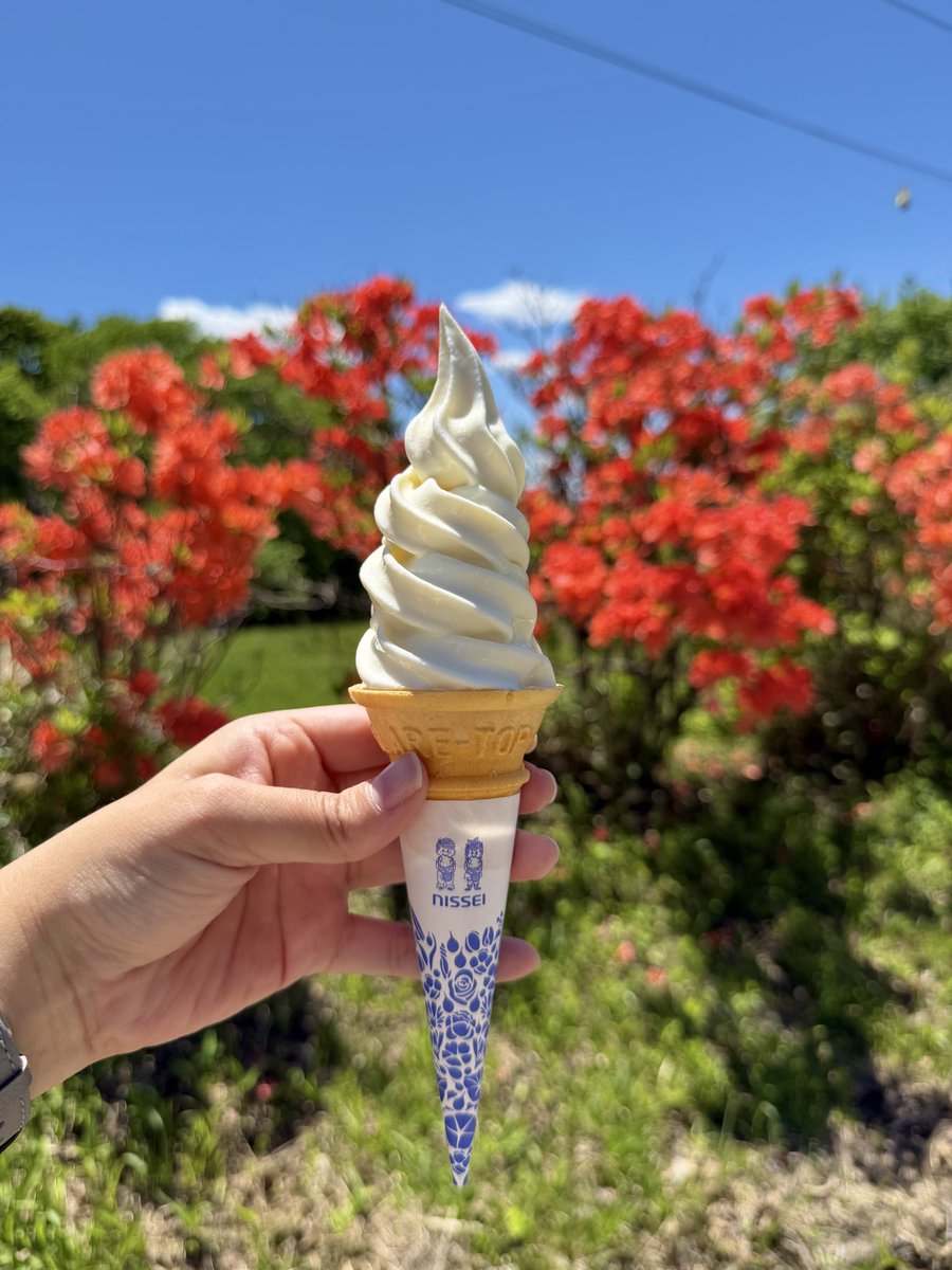 39kankou's tweet photo. これからの季節はソフトクリーム🍦もおすすめです！
週末のリフレッシュにぜひお越しください🚗

#佐久市 #荒船パノラマキャンプフィールド #絶景キャンプ  #アウトドア https://t.co/avPGSOJe7p