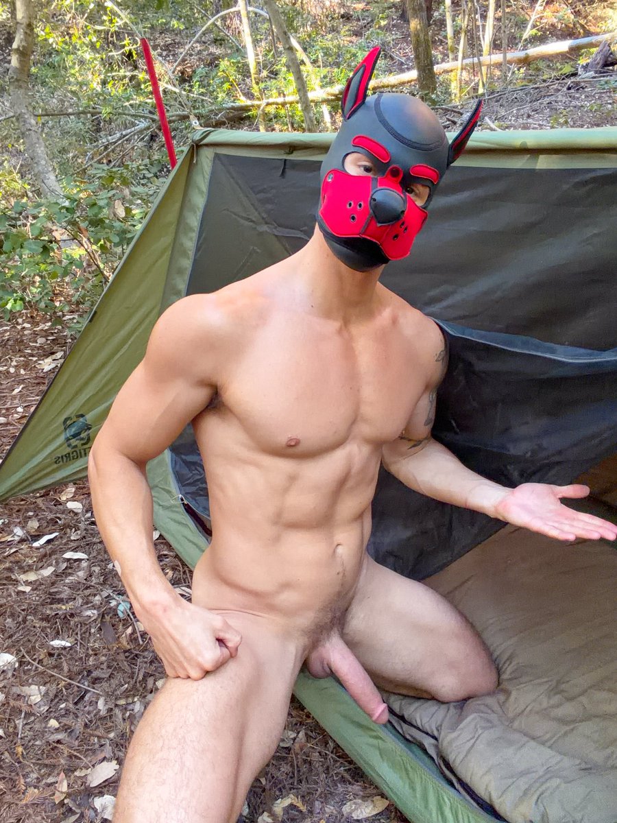 Zanderwoodz tweet media
