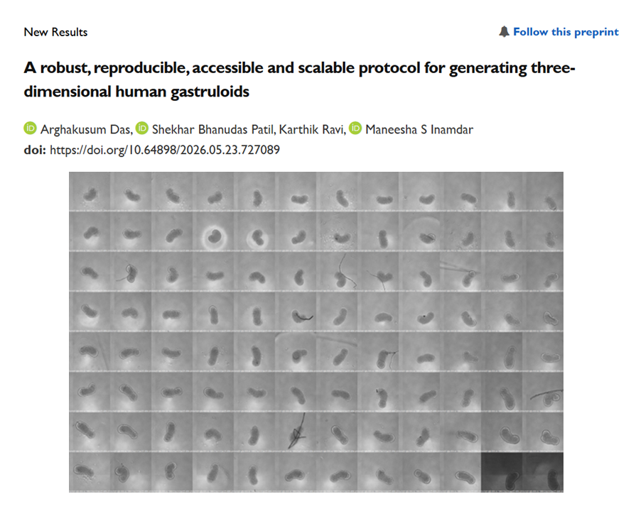 ArghakDas's tweet photo. 🧵A low-cost, scalable protocol for 3D human gastruloids with >90% efficiency! #Gastruloids- a powerful model of early development. Developed using Indian stem cell line #BJNhem20 and validated across multiple lines. 🔗https://t.co/p32o9zWIXv
@InamdarManeesha @DBT_inStem @jncasr https://t.co/yfj5vlg57M