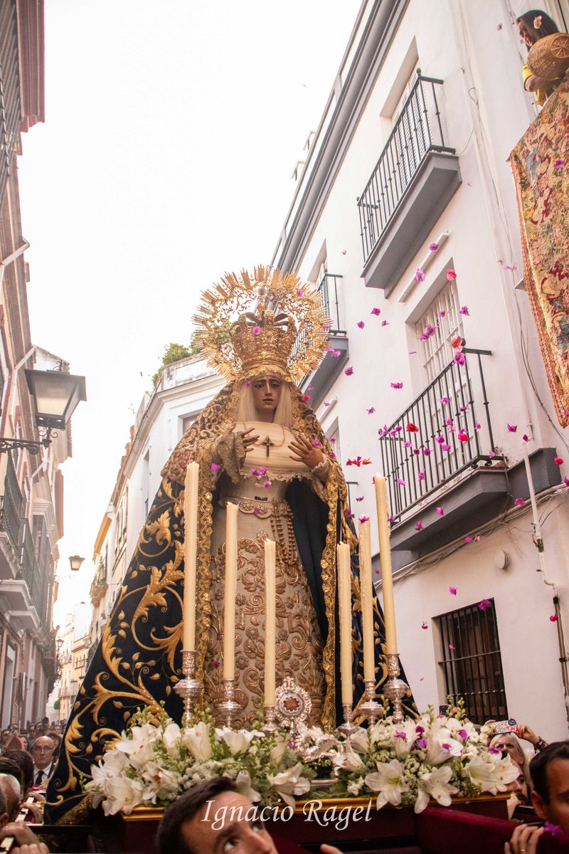 ignacioragelfr's tweet photo. Hace un año amanecía uno de los fines de semana más grandes que he vivido

¡Hace un año salía la Virgen! 
@Hdad_Amargura https://t.co/igo2xUQVpA
