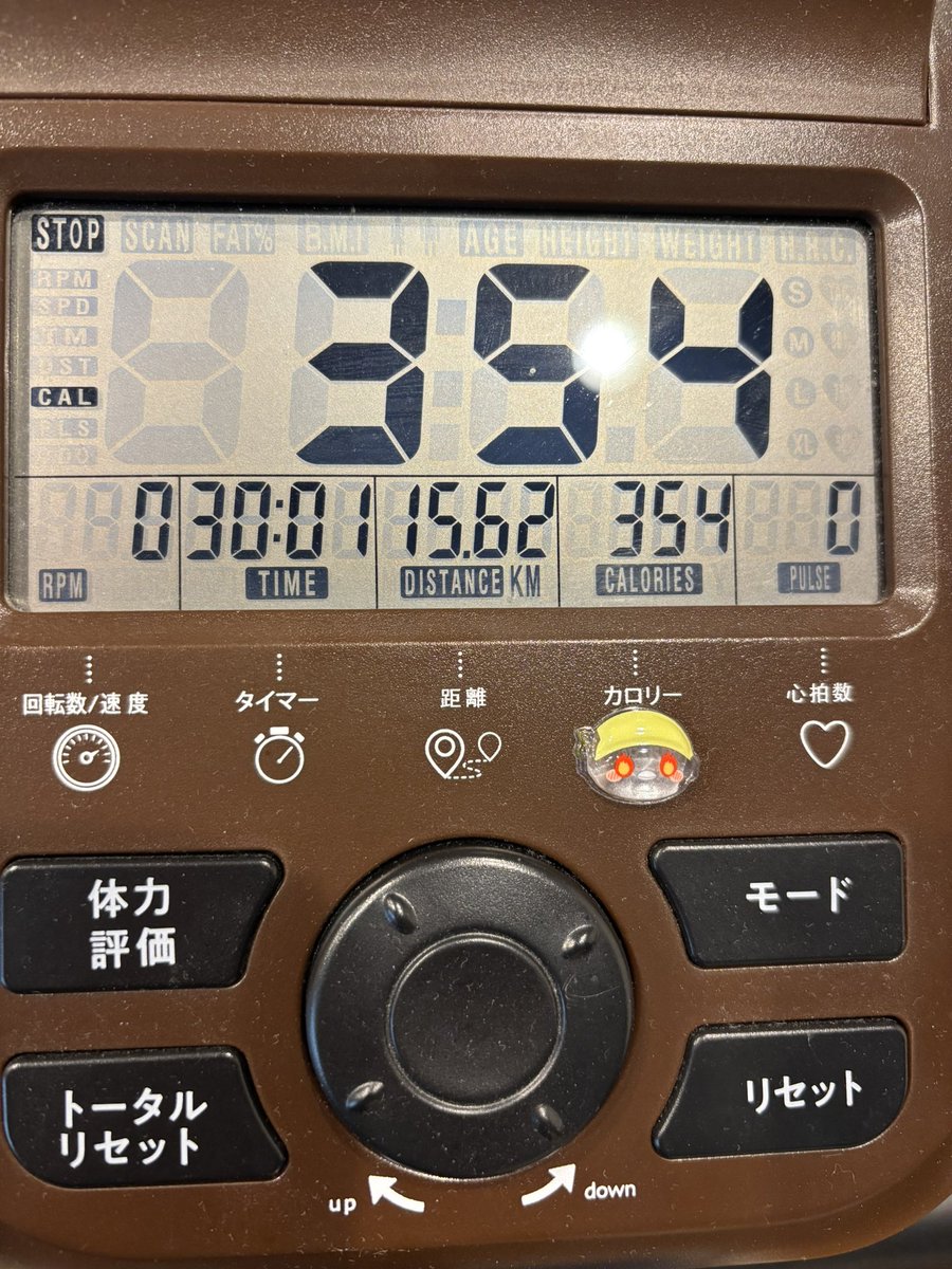 しんち tweet media