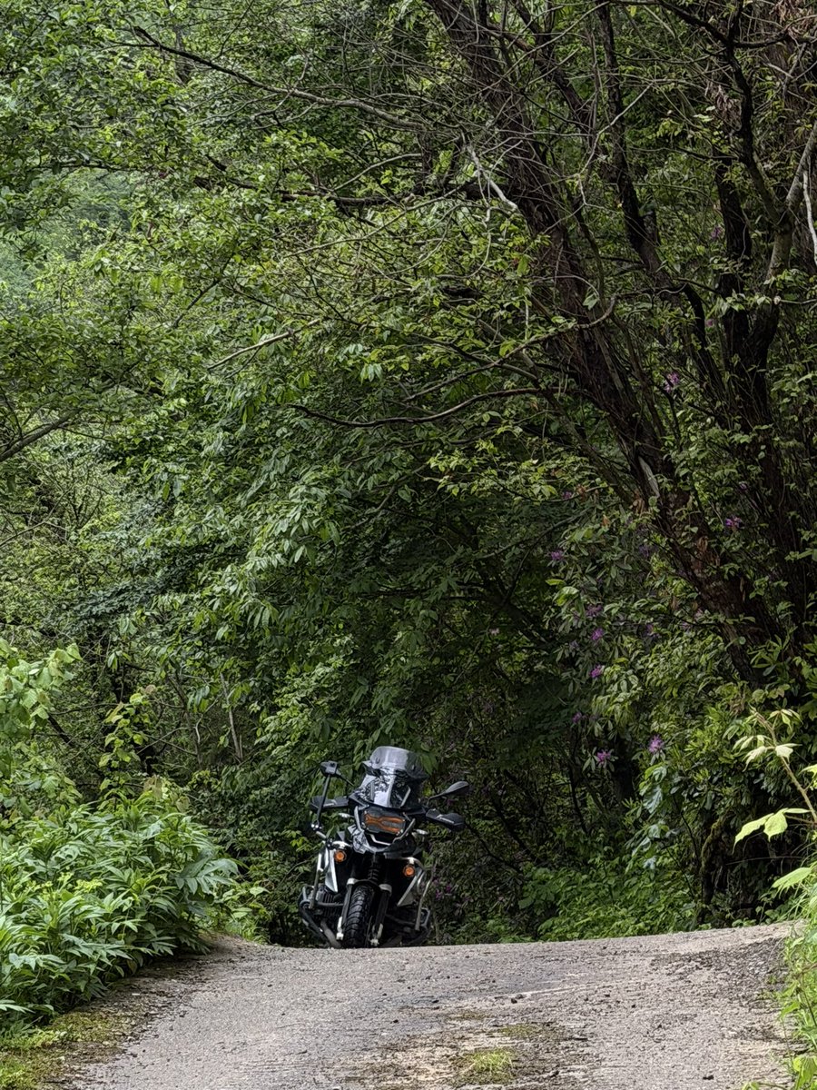 YusufKocinn's tweet photo. #Fotinos #çaykara #trabzon #bmw #r1200gs https://t.co/rUl7CNMmRo
