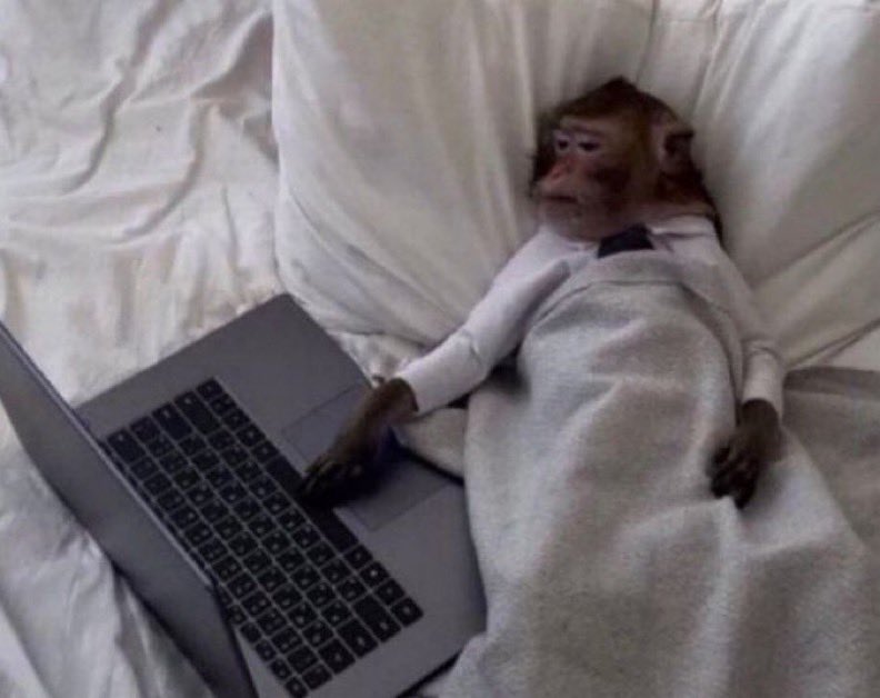 jesu__tofunmii's tweet photo. weekends are for studying 

me: next episode https://t.co/6rQgjfTAMb