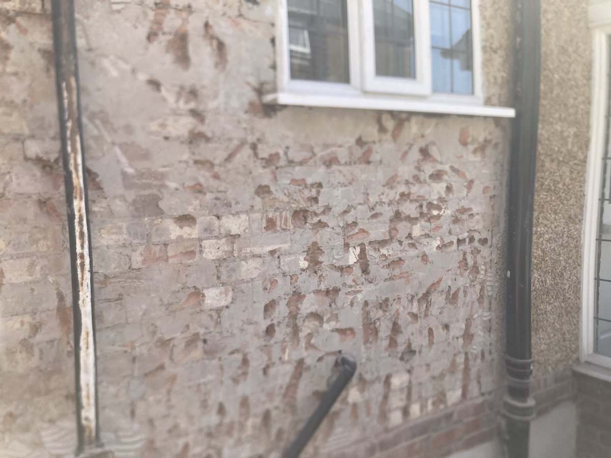 Pegasus Plasterers tweet media