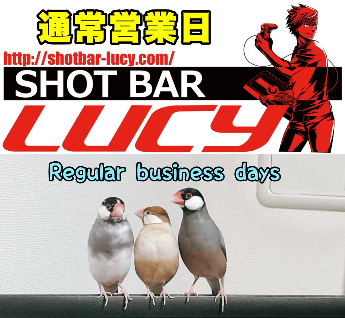 ShotBar_LUCY's tweet photo. ◥◣ 📣 お知らせ 📢 ◢◤

5/31（日）はお昼の12時からオープンしていますのでお友達お誘いの上オフ対戦しに来てください😄🆚😁

アケコンやレバーレスのレンタルもありますが、持参していただいても大丈夫です🕹️

ご来店お待ちしてます！ https://t.co/tZwsqEOaoo