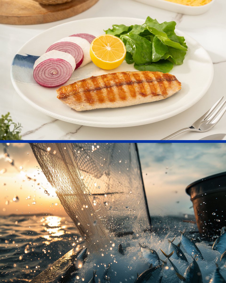 fishgate_'s tweet photo. Denizden tabağa uzanan tazelik 🎣

#OrangeCityBalat #FishGate #Balıkçısı https://t.co/FmThx28PTq