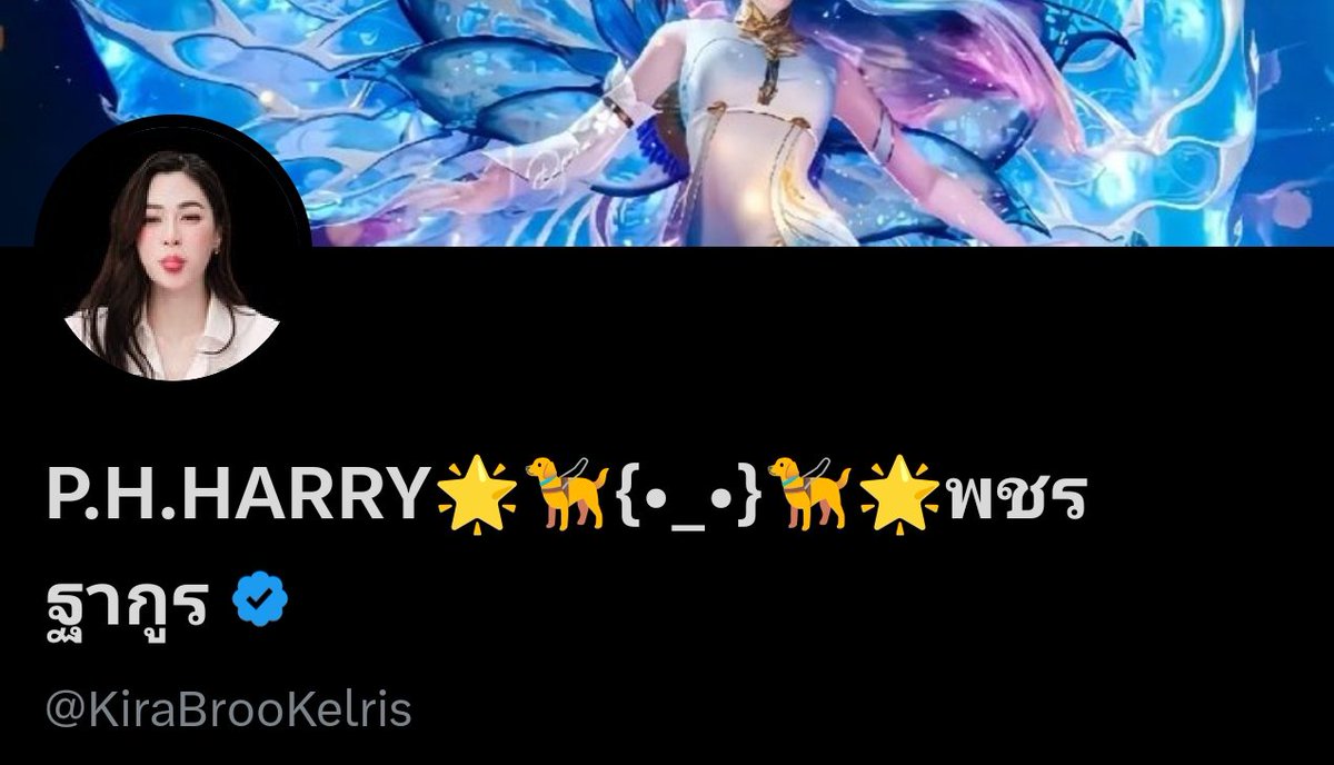 P.H.HARRY🌟🦮{•_•}🦮🌟พชรฐากูร tweet media