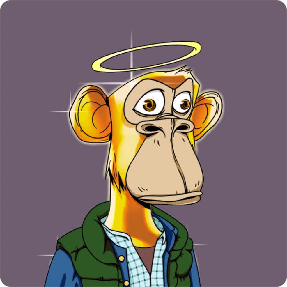 TheJPEGGallery โโจ-โจ tweet media