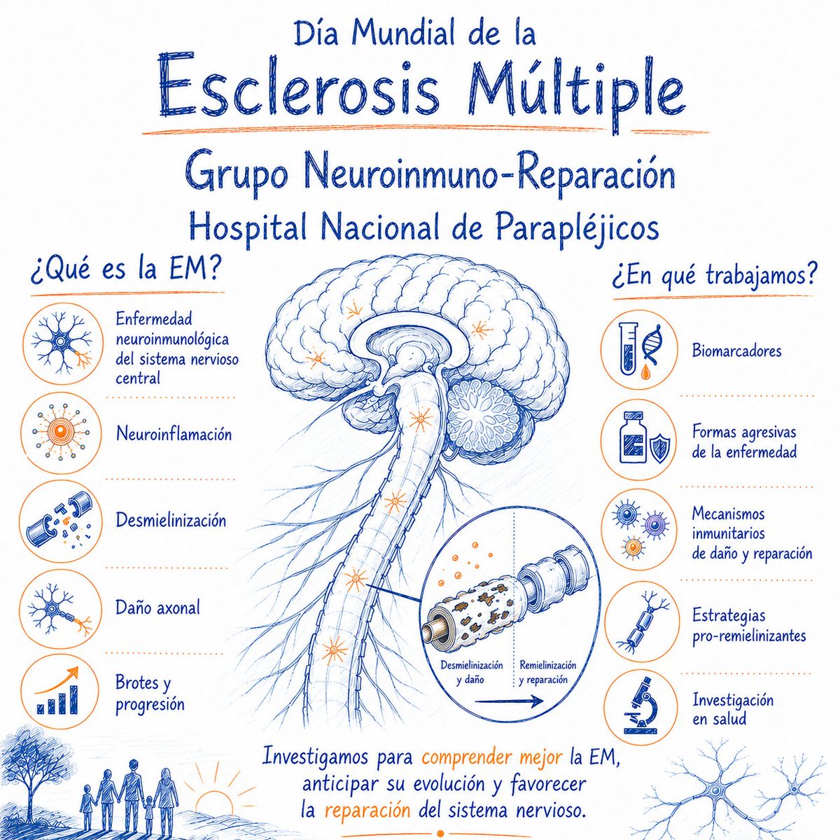 DrDiegoClemente's tweet photo. 🧠 Hoy, #DíaMundialEM, nos sumamos a la visibilización de la #EsclerosisMúltiple.

Desde  @HNParaplejicos @idiscam @CIBER_ISCIII investigamos para entenderla mejor, anticipar su evolución y favorecer la remielinización.

Con las personas con diagnóstico de EM y sus familias💙🧡🤍 https://t.co/akfD7dCldo