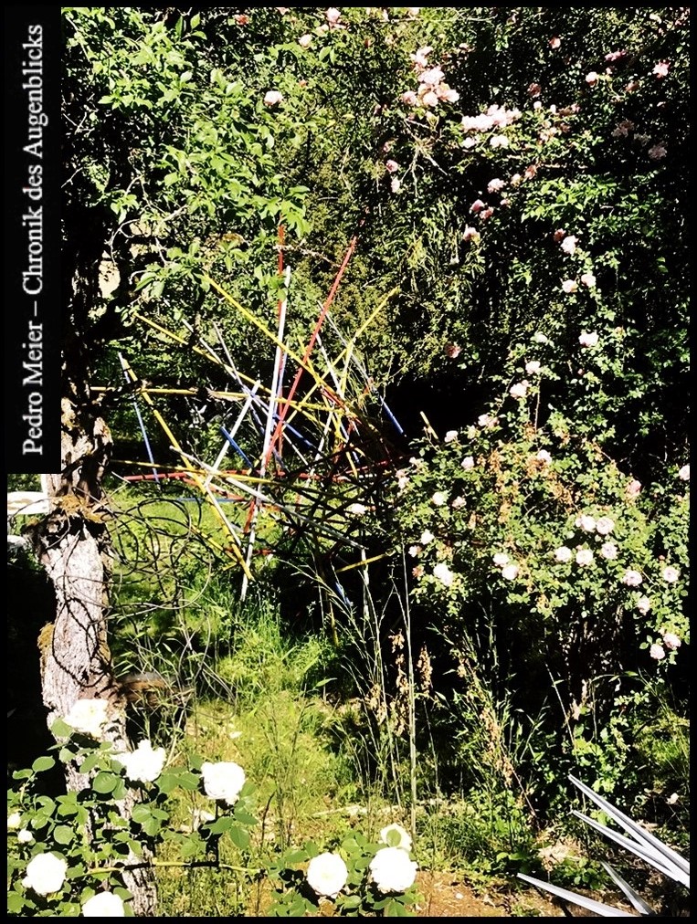 ArtistMeier's tweet photo. Pedro Meier, Ateliergarten, Mikado-Skulpturen, blühende Baumrosen, Ramblerrosen, Zwetschgenbäume, Bambus. Links am Baumstamm schwebende Spiralen-Skulptur aus Kupferdraht, Niederbipp https://t.co/QIo4oat27G – https://t.co/auJFk1gzh4 – https://t.co/20aKZJ7KM8 https://t.co/60XrafX4h2