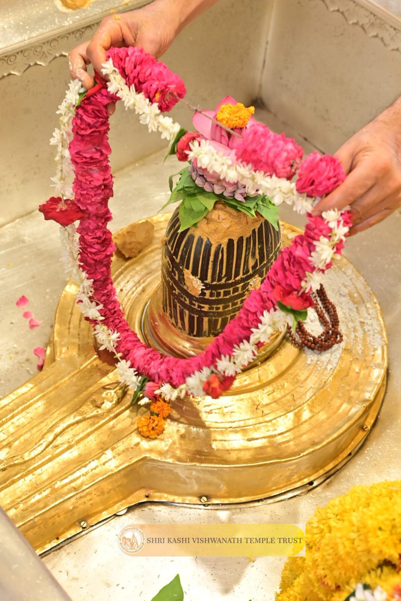 Shri Kashi Vishwanath Temple Trust tweet media