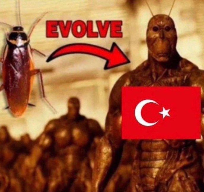 Irmak°❀⋆.ೃ࿔* tweet media