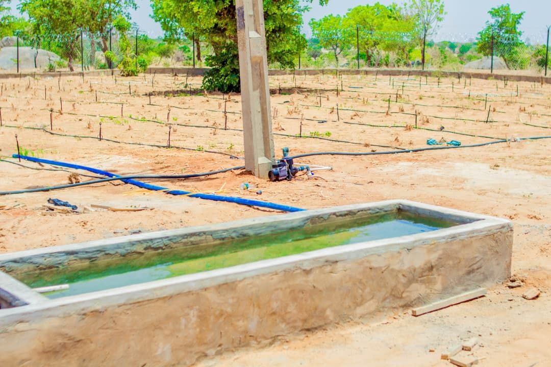 Vetkonectng's tweet photo. From construction to community impact.
Vet Konect delivered mini-ranching systems under the SPAR Project, supporting sustainable livestock development across Benue and Katsina States.
#VetKonect #WEP #SPARProject https://t.co/NxcNnCLMID