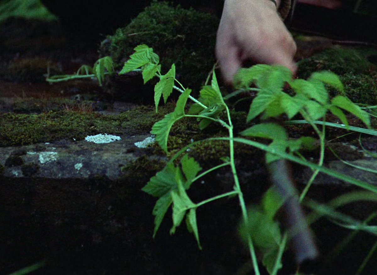 TarkovskyFrames's tweet photo. Frames from Stalker https://t.co/kYZfxOA5E8