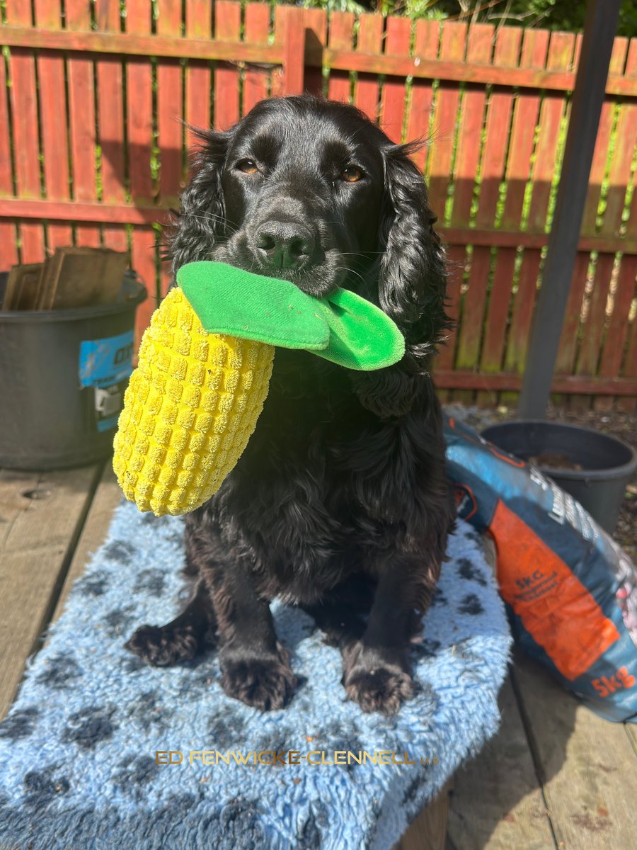Ed Fenwicke-Clennell tweet media