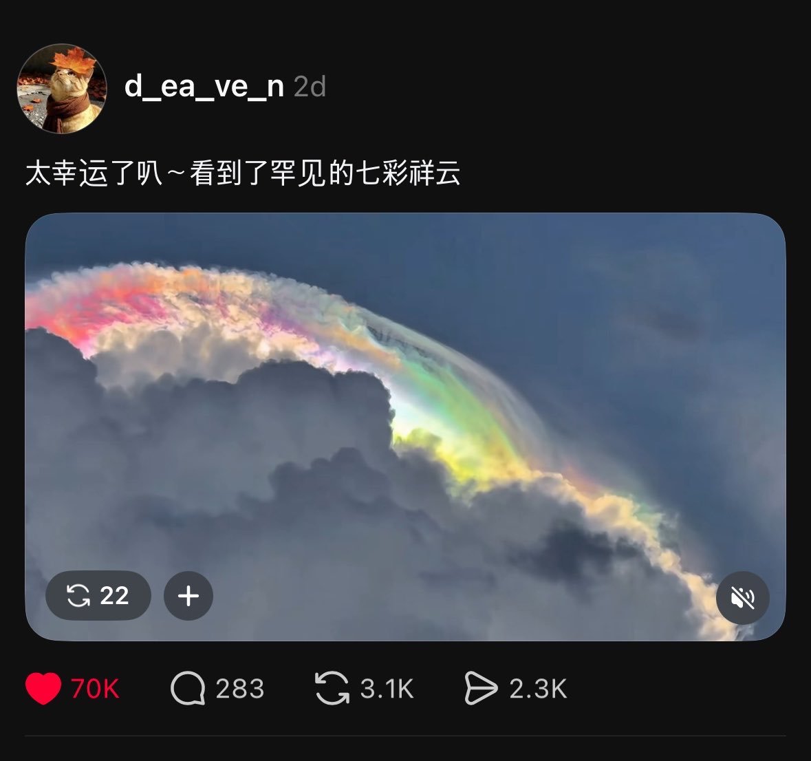 🍥 haechu mabblu, vhdpqj clfemfla ♡ tweet media