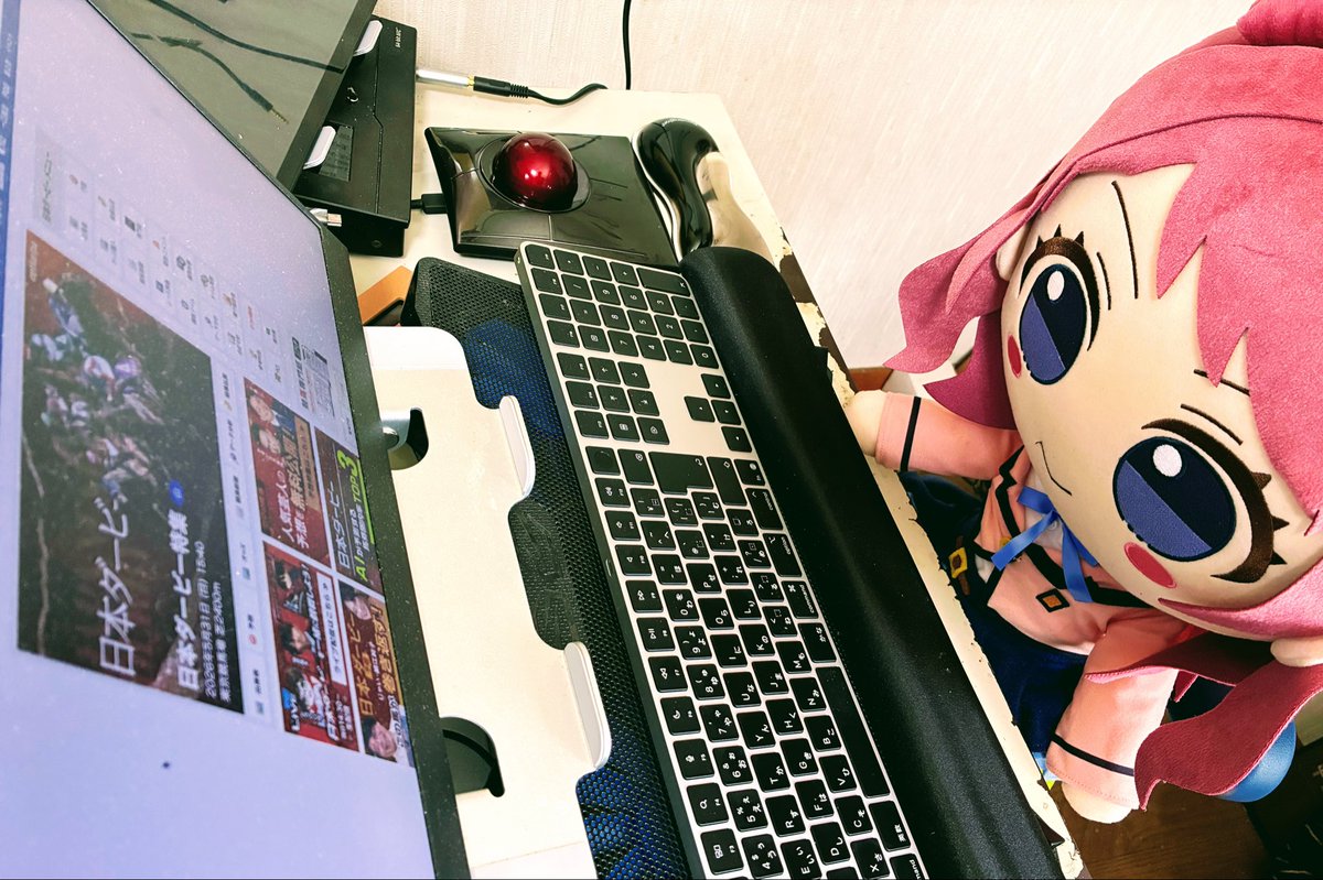 こちら決まりました、 覚悟は決まったわよ！！
