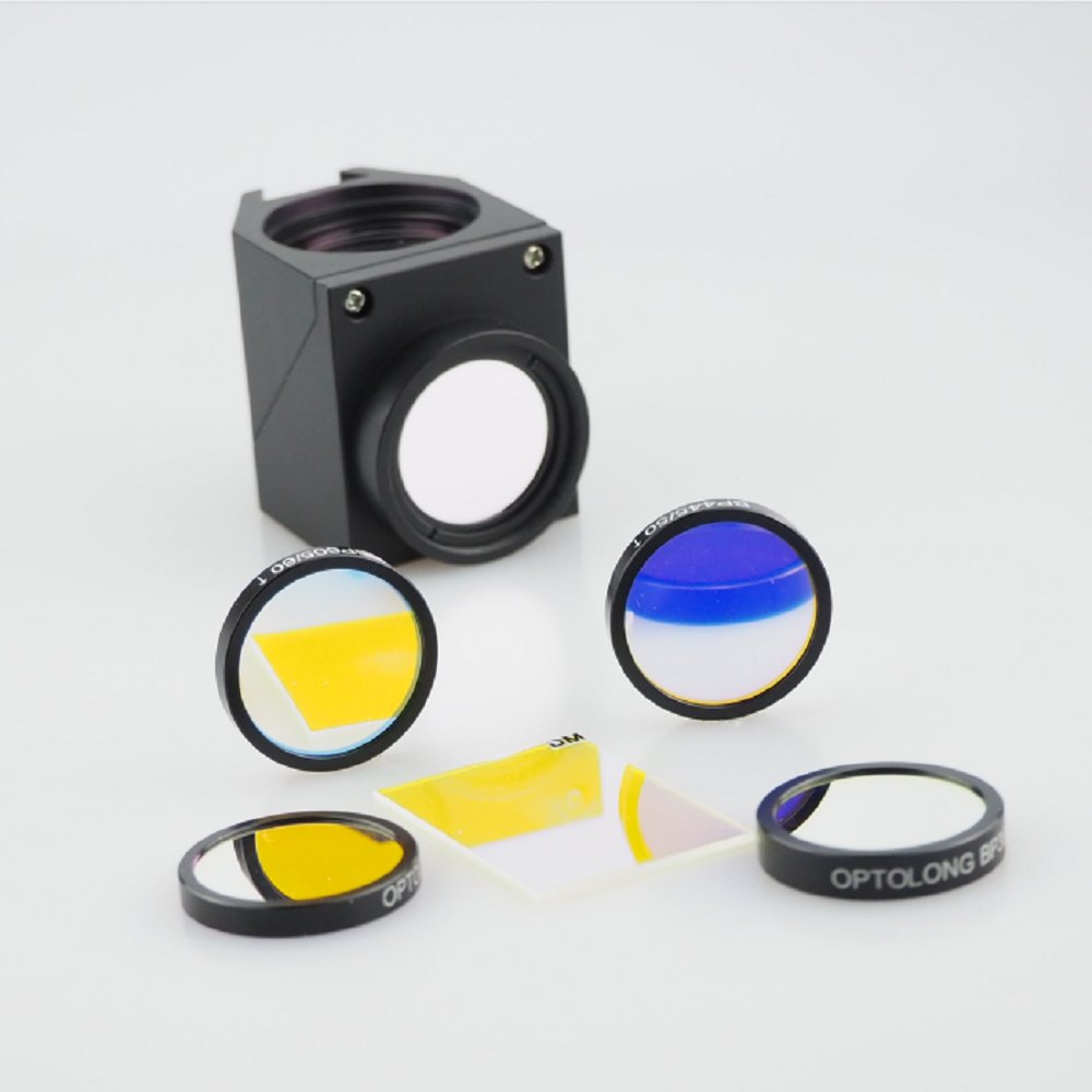Optolongfilter's tweet photo. #Optolong professional fluorescence filters
Photographer👨‍🔬: Olivier Leroux
Filter set🔍️: DAPI longpass &amp; FITC longpass filter sets from #Optolong
(Excitation 365nm, Emission LP415nm) (Excitation 475nm, Emission LP510nm)
Microscope🔬: #Nikon Ni-U

#OpticalFilters #LabEquipment https://t.co/BXZULcKFJJ