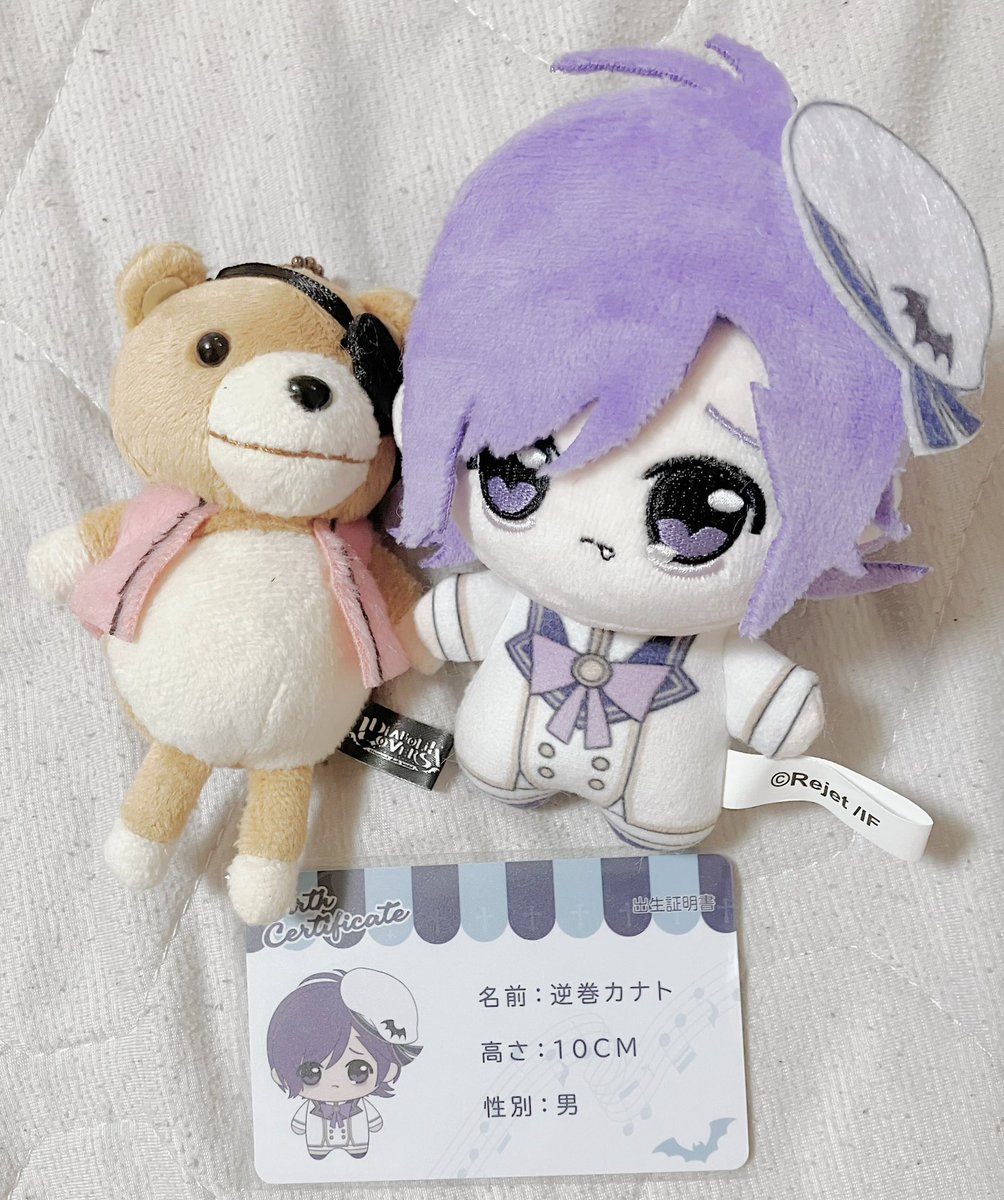 aaa___kanato's tweet photo. ぬい可愛すぎる🥹🥹来てくれてありがとう　頭がまんまるでうるうるの目でかわいいね🥰 https://t.co/2iG4IKGKKG