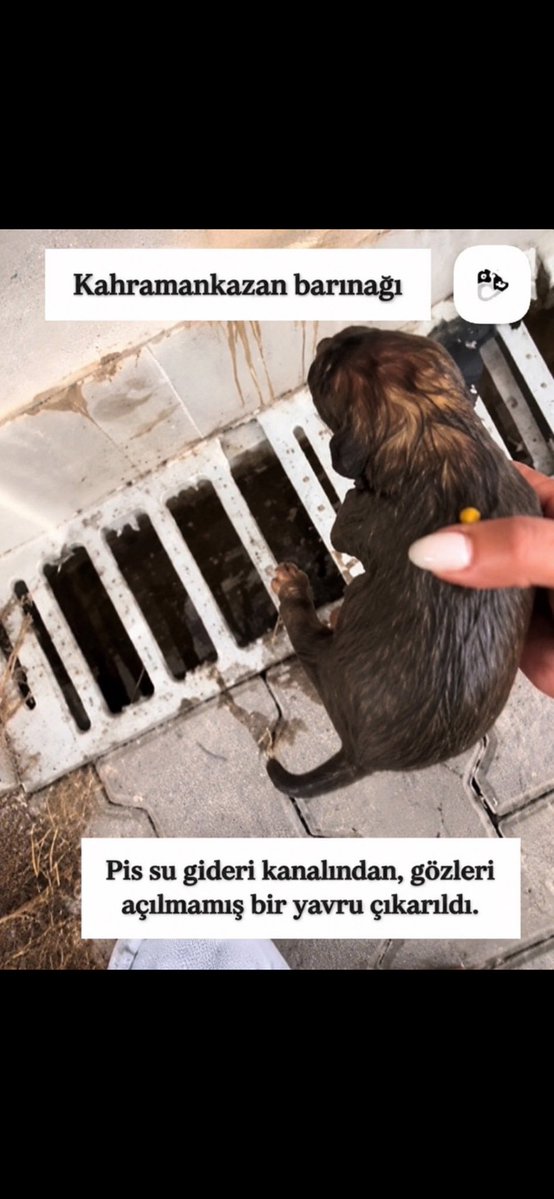 SANHAYDER tweet media