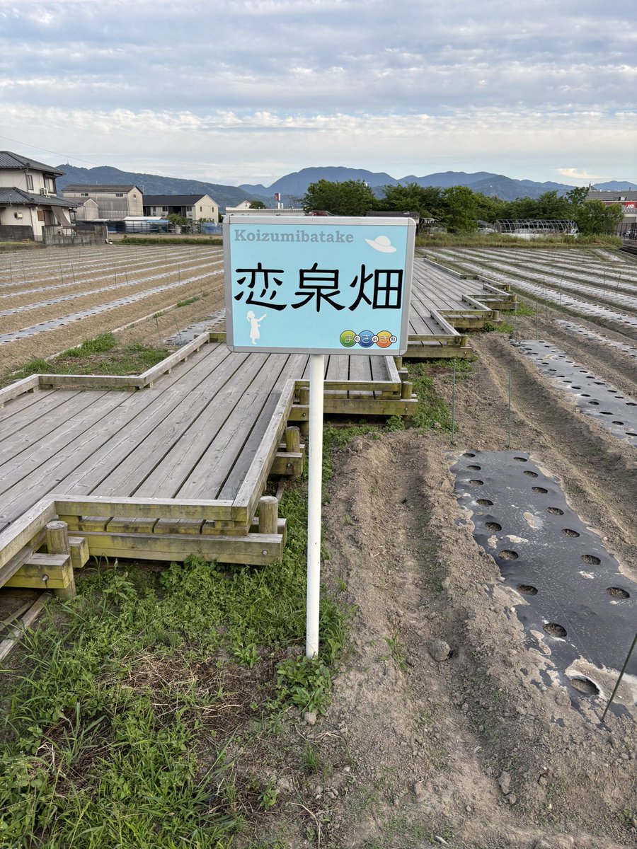 長山也寸志 tweet media