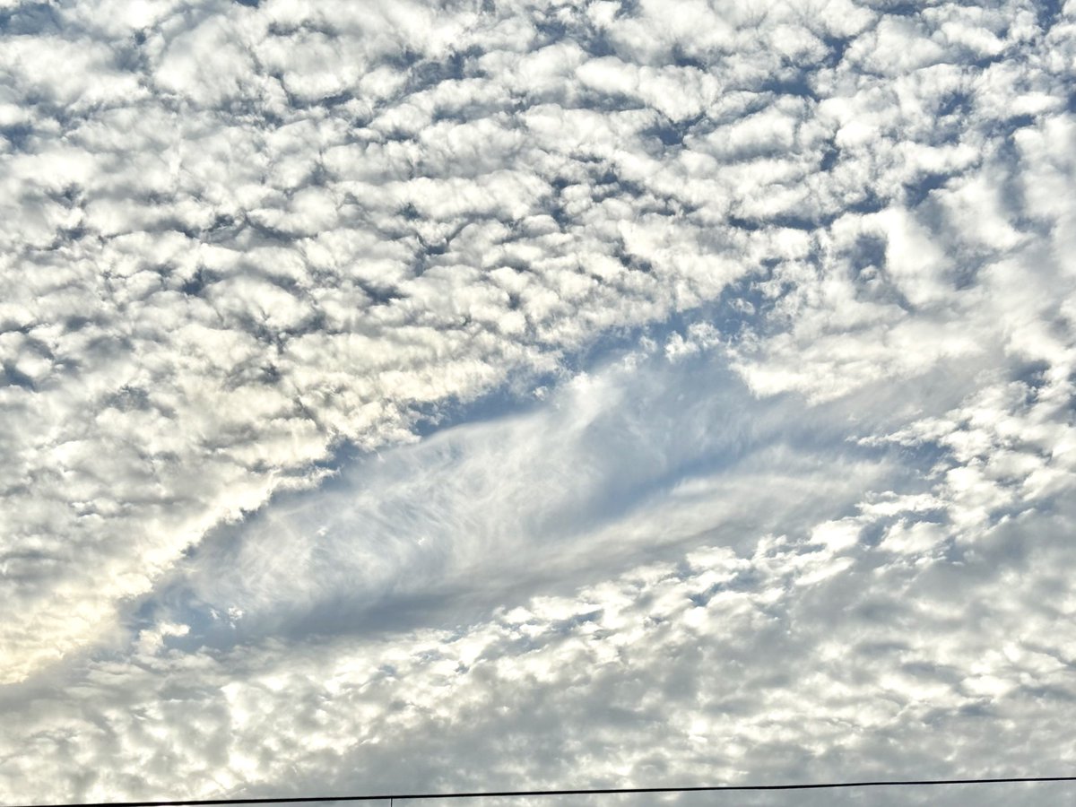 Nagi_ey5's tweet photo. さかなっぽい https://t.co/Gjccx75CaZ