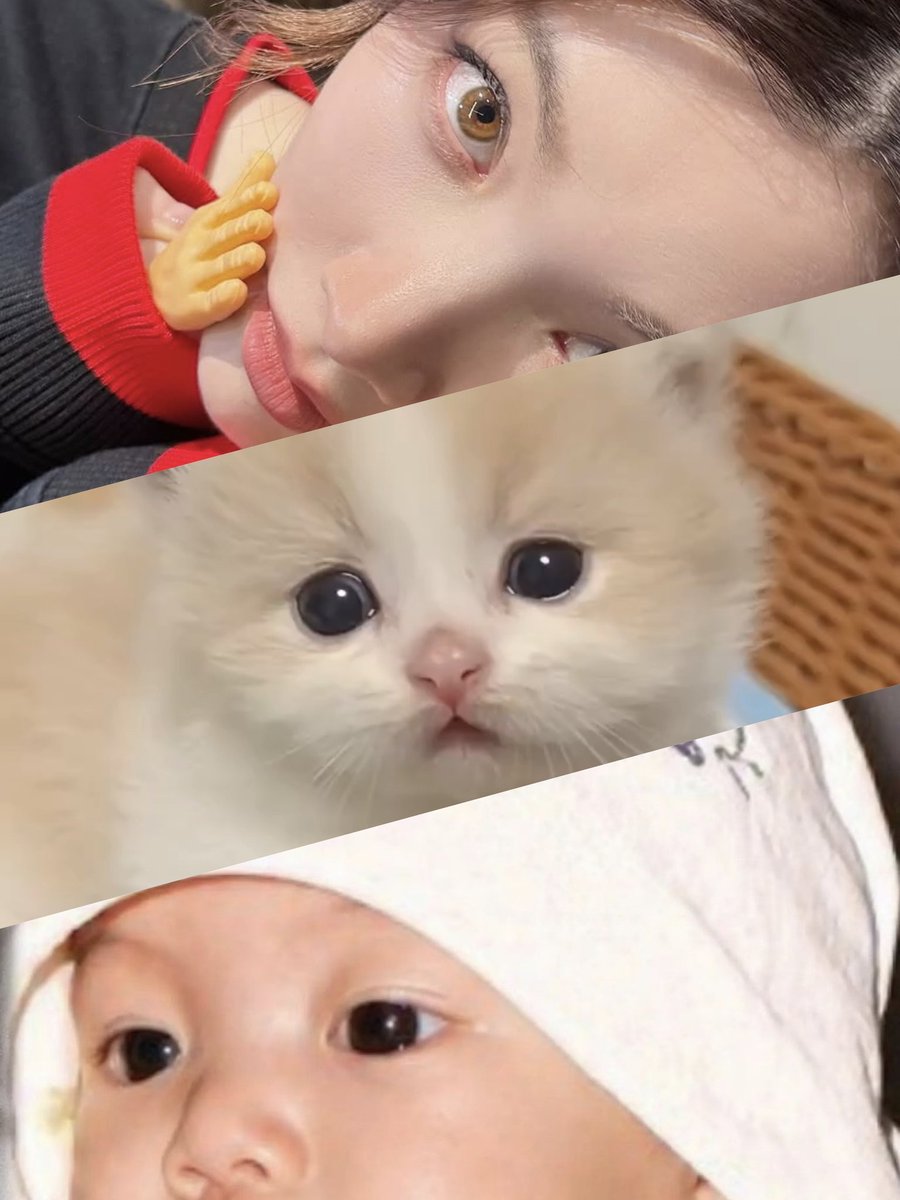 jade_275's tweet photo. Baby 😚 

#ออมกรณ์นภัส #Ormkornnaphat https://t.co/gxEDouxHJI