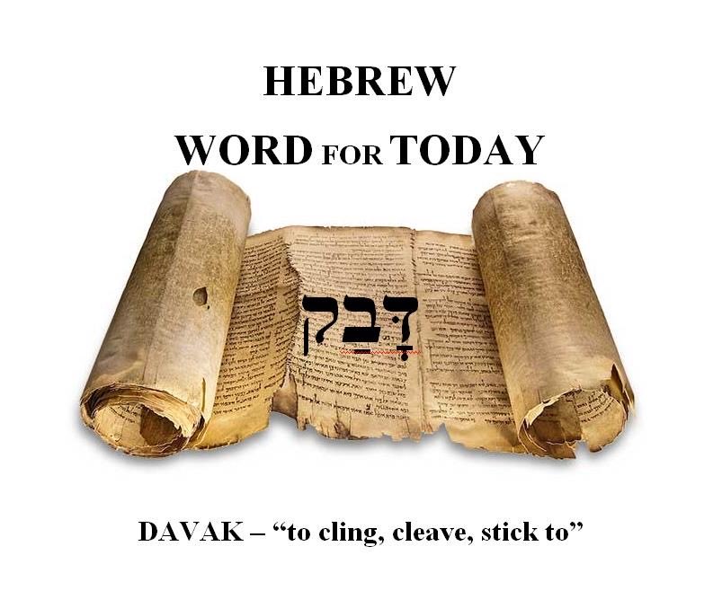 PhilNorcom's tweet photo. DAVAK – “to cling, cleave, stick to”

“Therefore shall a man leave his father and his mother, and shall cleave (davak) unto his wife: and they shall be one flesh.” (Genesis 2:24) https://t.co/vEruifL1H6