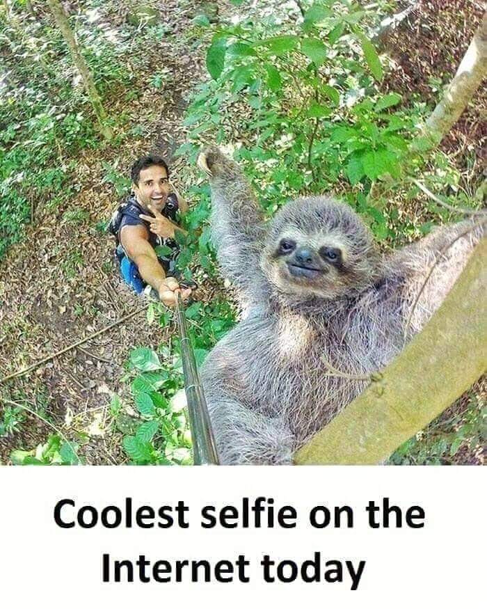 AmazingNature00's tweet photo. 😀😃❤🧡💛💚 https://t.co/45oj2sXTfr