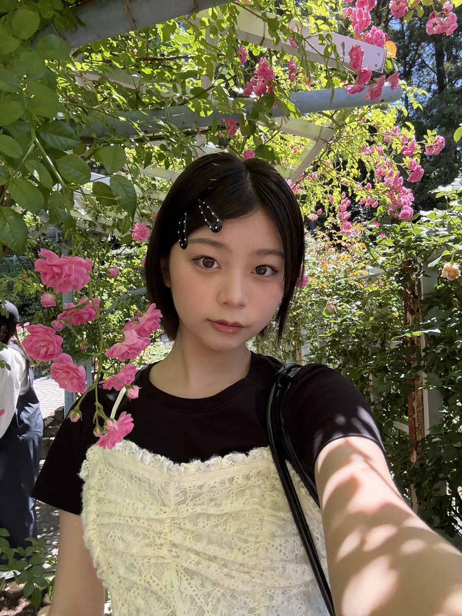 稲光亜依（あいにゃん） (@ainyan_1209) / Highlights / X