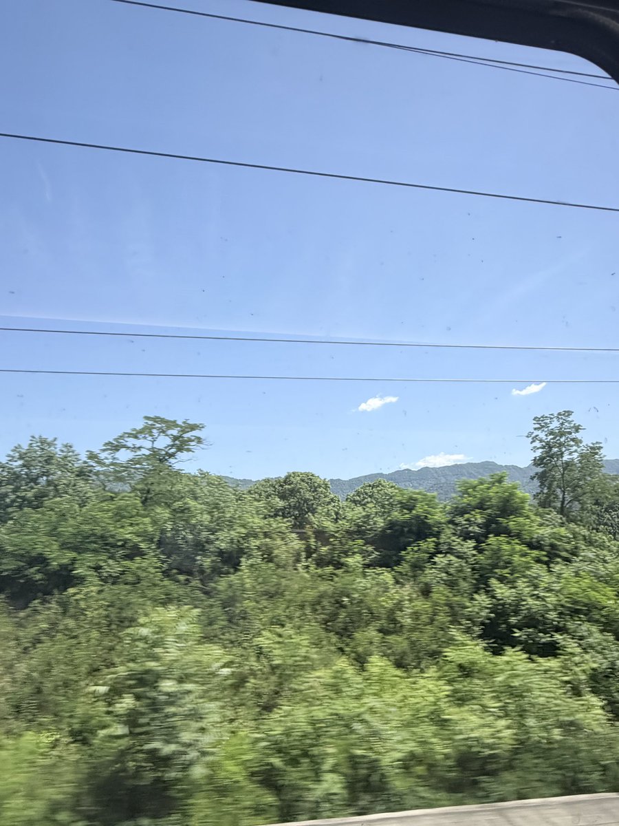 大天狼星 tweet media