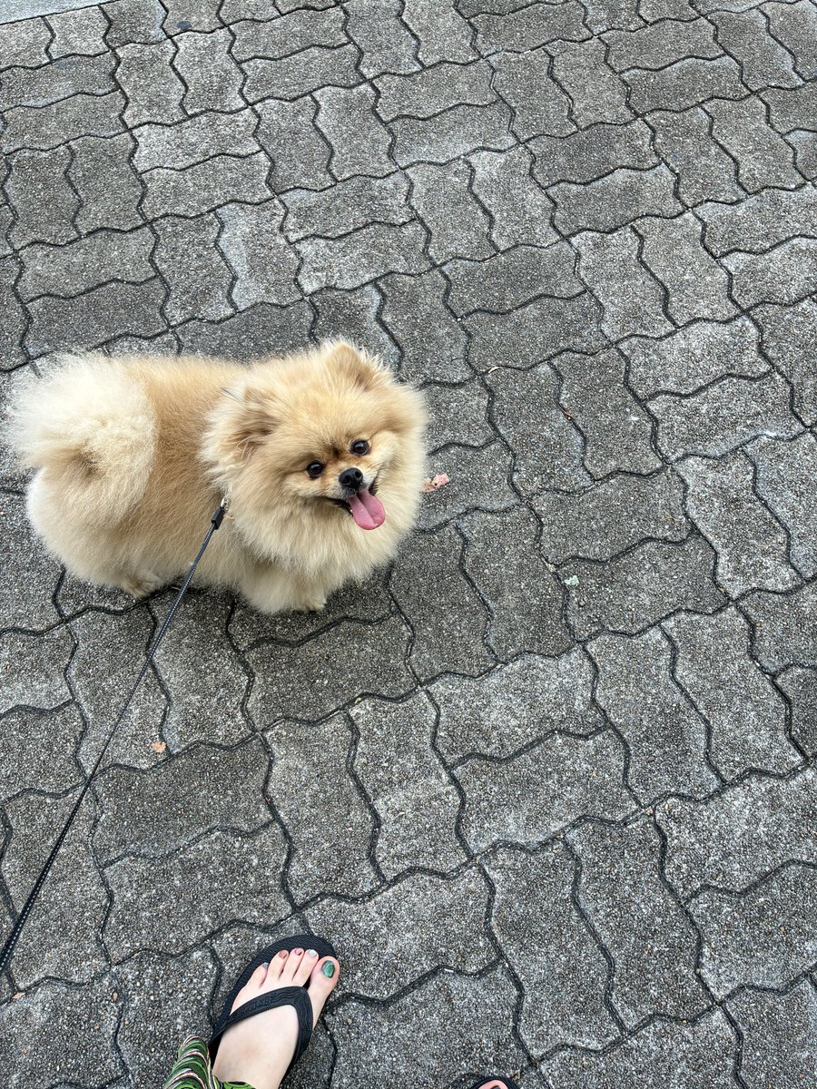 ちくわ様☺︎ 楽しそう♪ ✮⋆˙