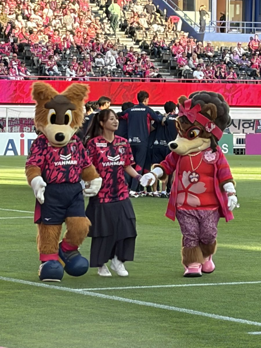 chocochoco6's tweet photo. 愛恵里ちゃん
お疲れ様でした🌸
寂しいー

真司貰ってやってくれませんかー https://t.co/ZGru8xWrTg