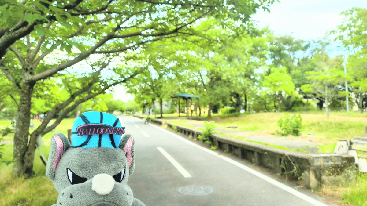 baltan0423's tweet photo. 🐶バルにっき📚️
５がつ３０にち（風つよか💨）
台風の近かけん風の強か��👀🌀
南佐賀の徐福サイクルロードは桜だけやなし、緑のトンネルもよかとこ🌿
昔ここ線路やったバル🚇️。ぼくの右のとこは駅バルね。
これで佐賀から諸富んにきに行きよらしたとて。
へへっ😏ブラタモリのごた。バルブラリ😎 https://t.co/0HpQsUIm4A