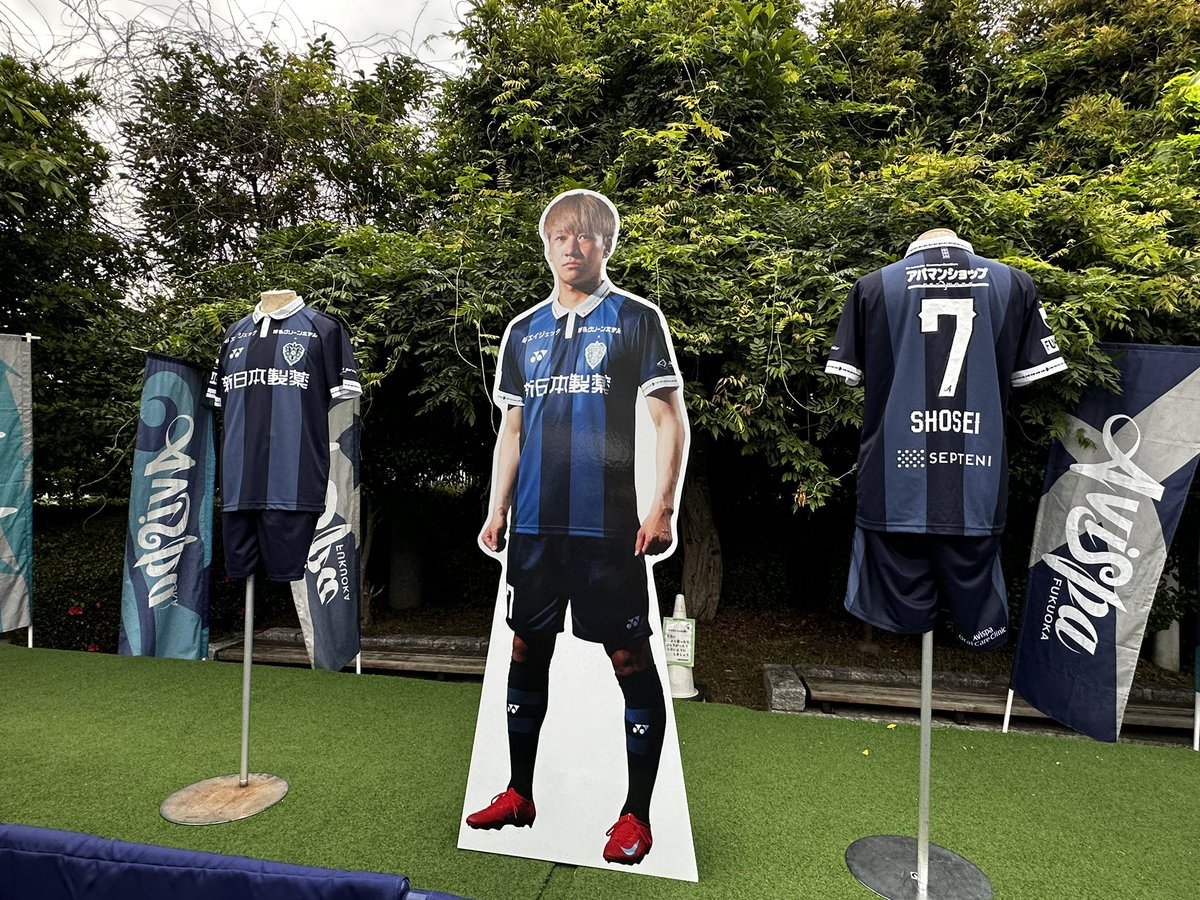 hilo2010's tweet photo. ええんでないでしょうか！
 #avispa https://t.co/ey6Pk4xYMH