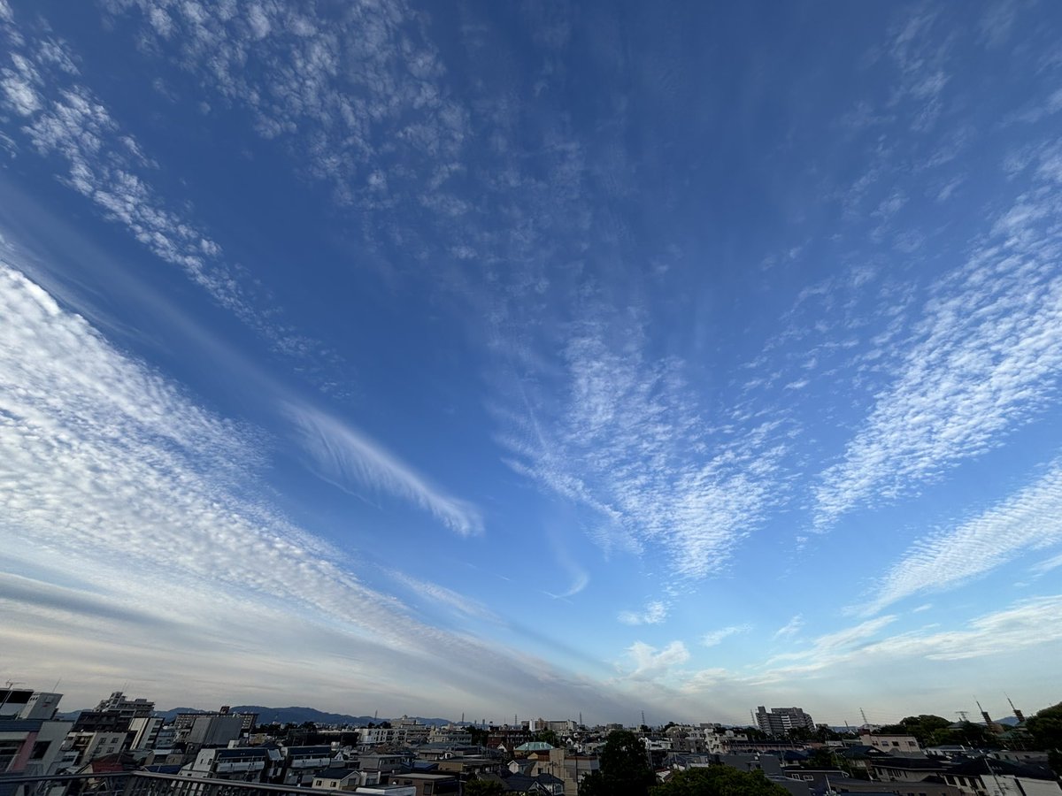 ____nobu's tweet photo. エネルギーをくれる https://t.co/P2kBf22dDs