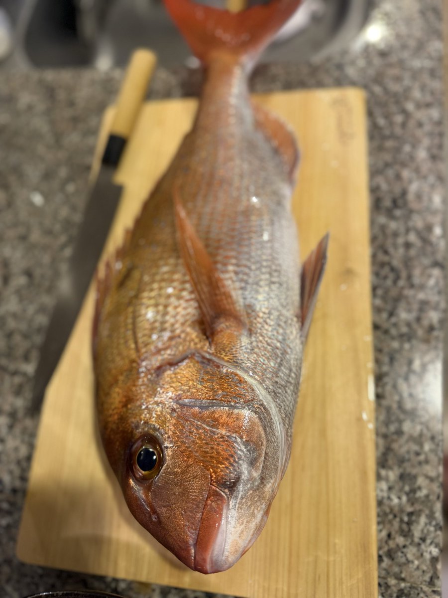 stoptakashi's tweet photo. 48cm🥰 https://t.co/LshjOyFeXX