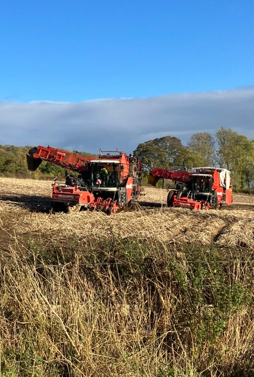 WiAScot's tweet photo. 🥔🌱 International Potato Day 2026 Scotland’s tattie story runs deep — and so does the contribution of women. 👩‍🌾

Spotlight on @DenheadFarmsLtd who provided the amazing photos!

WiAS members — share your 📸 photos, 💬 what you love about growing tatties, and 🥘 your recipes. https://t.co/9djmao6gkx