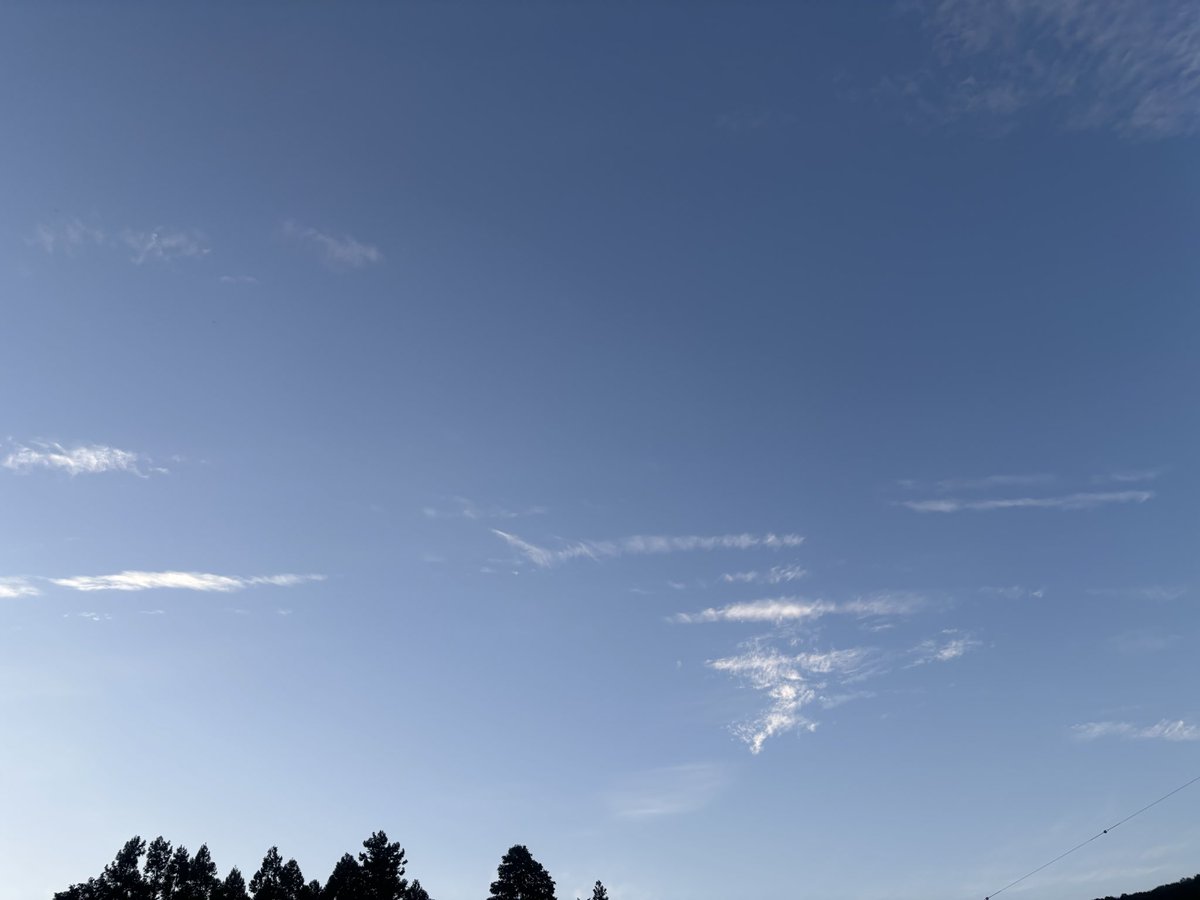 emee0777's tweet photo. 夕方になってやっと　風薫る5月がやって来た https://t.co/sWaUDQ1XR7