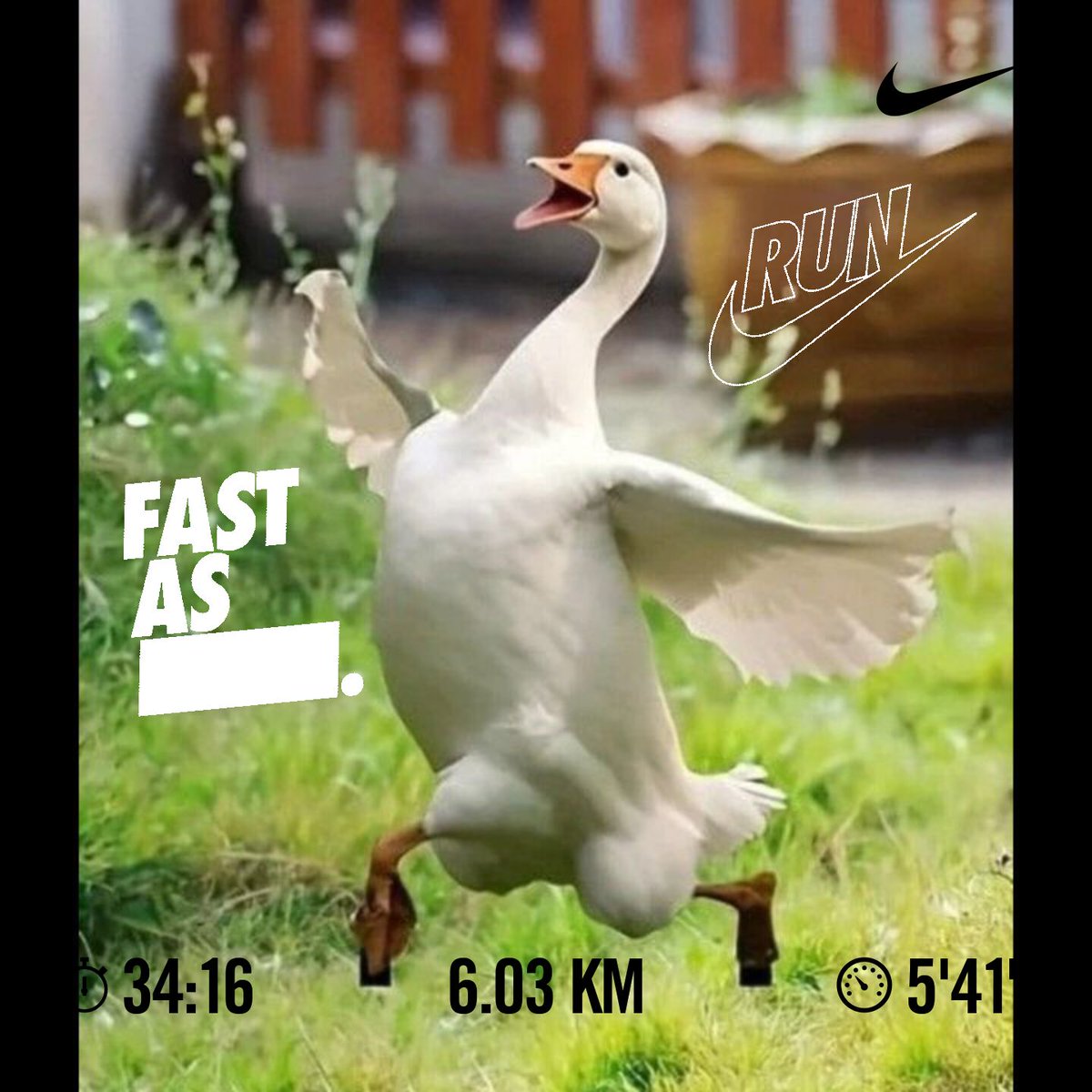 anyiwoorth's tweet photo. #SaturdayMorningRun #JustRun #RunningSavesLife #Nike #6km #34.16.💪🏾👊🏾🔥 https://t.co/6BXUM26tqZ