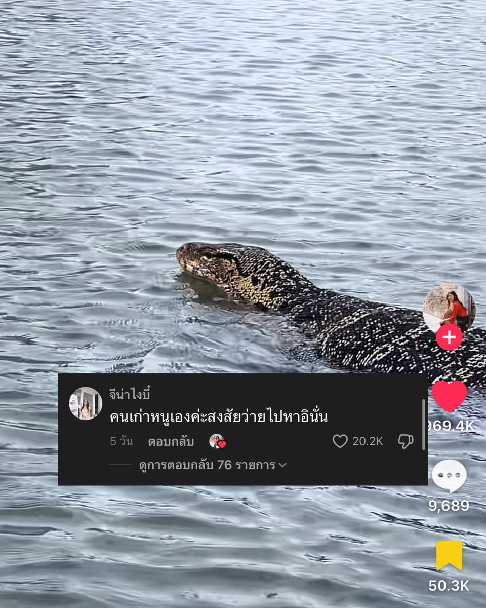 ęļ° tweet media