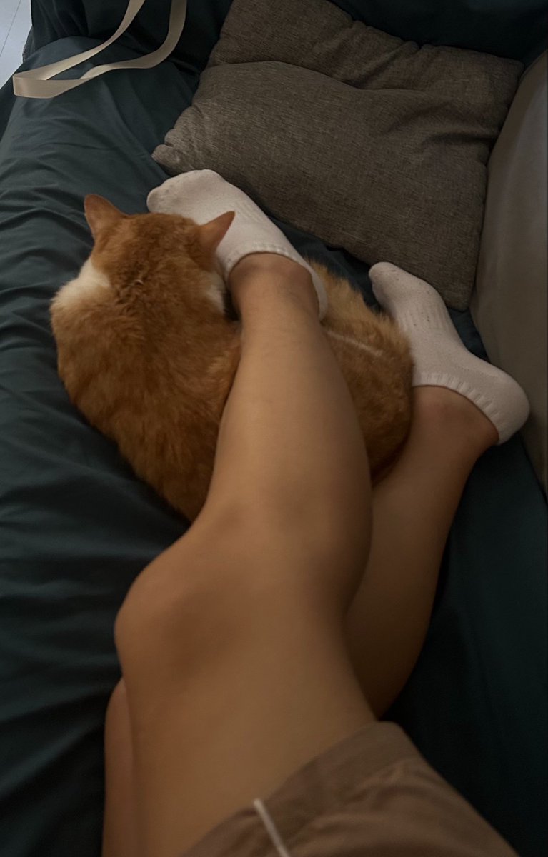 huoyex's tweet photo. 就喜欢贴贴🥰 https://t.co/NDBhPUxyeI