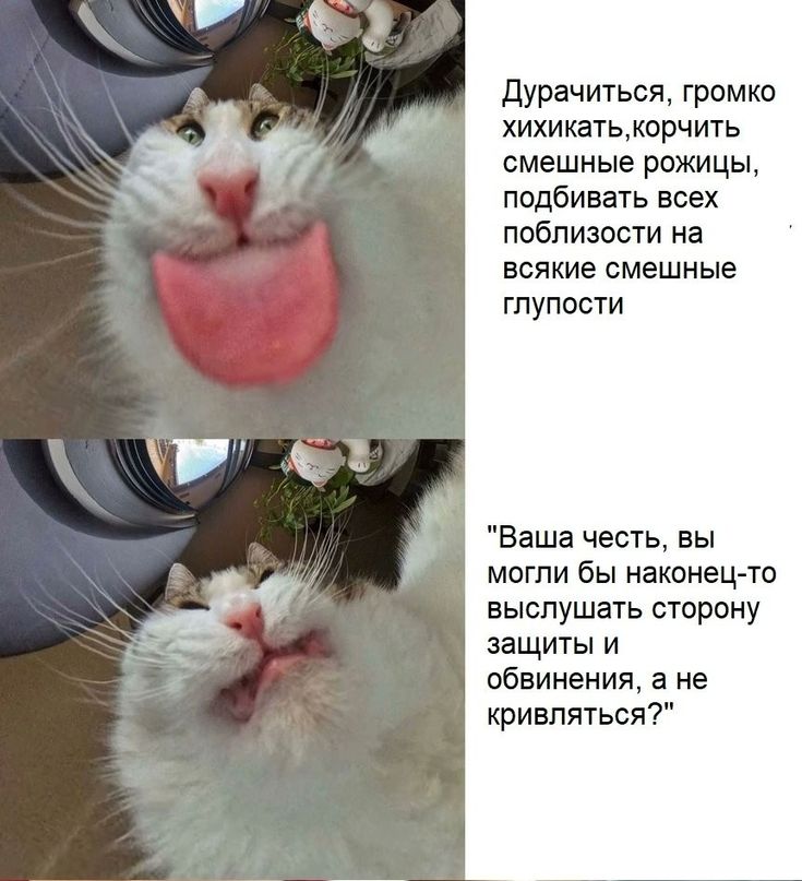 Юна tweet media