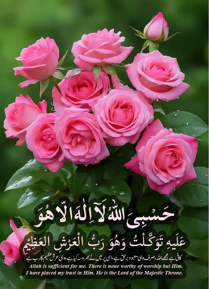 پیارے أفضل tweet media