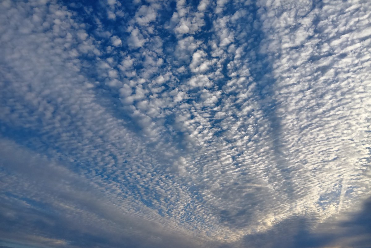 wxciibbb's tweet photo. 空一面、巻積雲だ〜
天気はくだり坂 https://t.co/ceyobQVufP