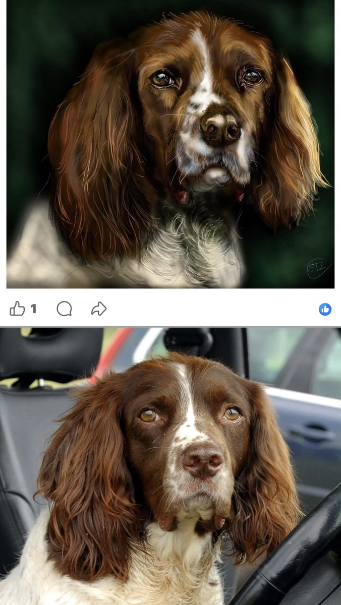 SpanielsSuper's tweet photo. Here’s a fabulous opportunity for someone 

As you all know we were rescued by the amazing @SaveOurSpaniels 
Who are always fundraising to get more #SpanielsOnSofas 

They are currently running an auction the best best Lot of which is LOT 1

It’s a portrait of your dog painted by the Slade trained Stephen Thomas-Lee dad of @HGrafdad who painted his own pups Lovely Layla the #GoodGirl & Teddy #TheTinker sleeping cuddled up together- look at the amazing detail on Layla who being black is more of a challenge than merle Teddy ♥️♥️♥️

He doesn’t usually do commissions, but has gifted this Lot to SOS to raise funds. He gifted me an incredible portrait of Ronnie🌈 when we lost him & last week sent the most stunning portrait of Snoopy🌈 as a birthday present, he also sent Vicky Carney a beautiful portrait of her beautiful Briar🌈 He captures their character & soul perfectly 
These are much sought after & not usually commercially available, so anyone wishing to bid for a bespoke portrait of their dog? Has until 5.00pm tonight 

Go to the Save Our Spaniels Facebook page & the auction site is there 

Good luck