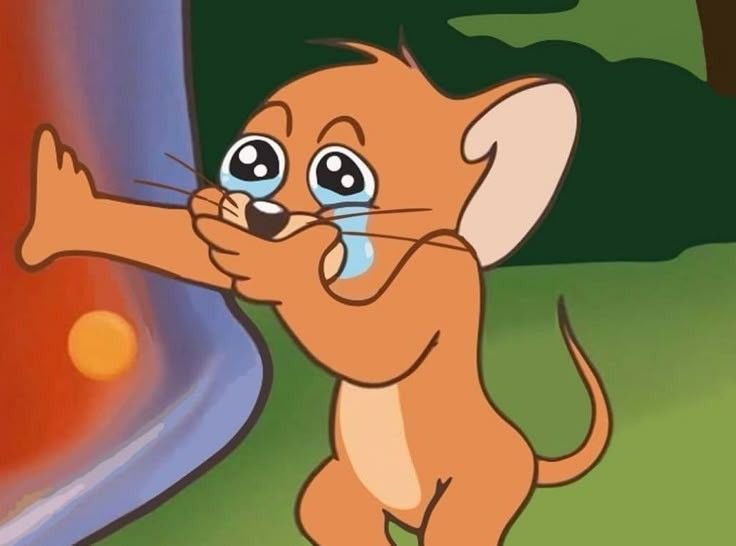 imlk`🐻‍❄️ tweet media